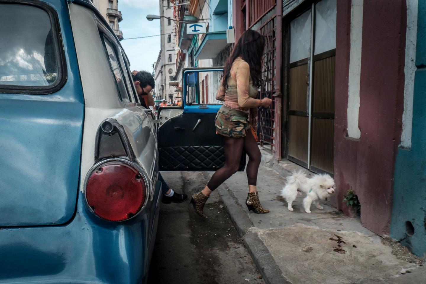Cuba Kuba Havana Hawana old car old timer stary samochód pies dog