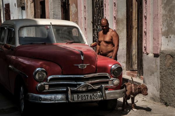Cuba Kuba Havana Hawana old car old timer stary samochód pies dog